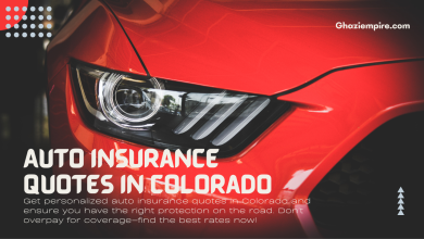 Your Guide to Auto Insurance Quotes in Colorado